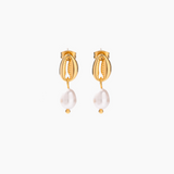 stainless steel earrings with cowrie shell and pearl drop
