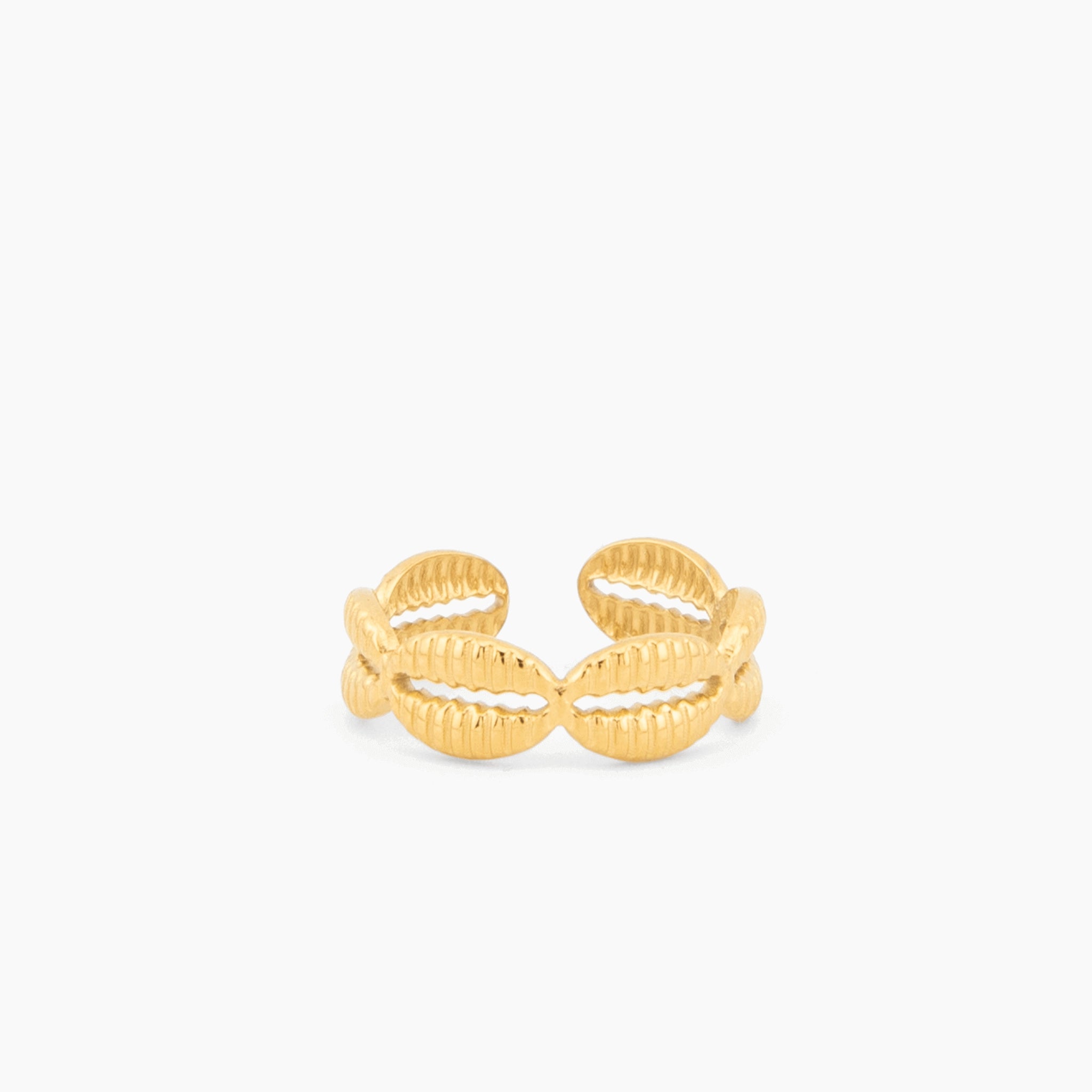 gold cowrie shell ring in stainless steel with 18K PVD coating