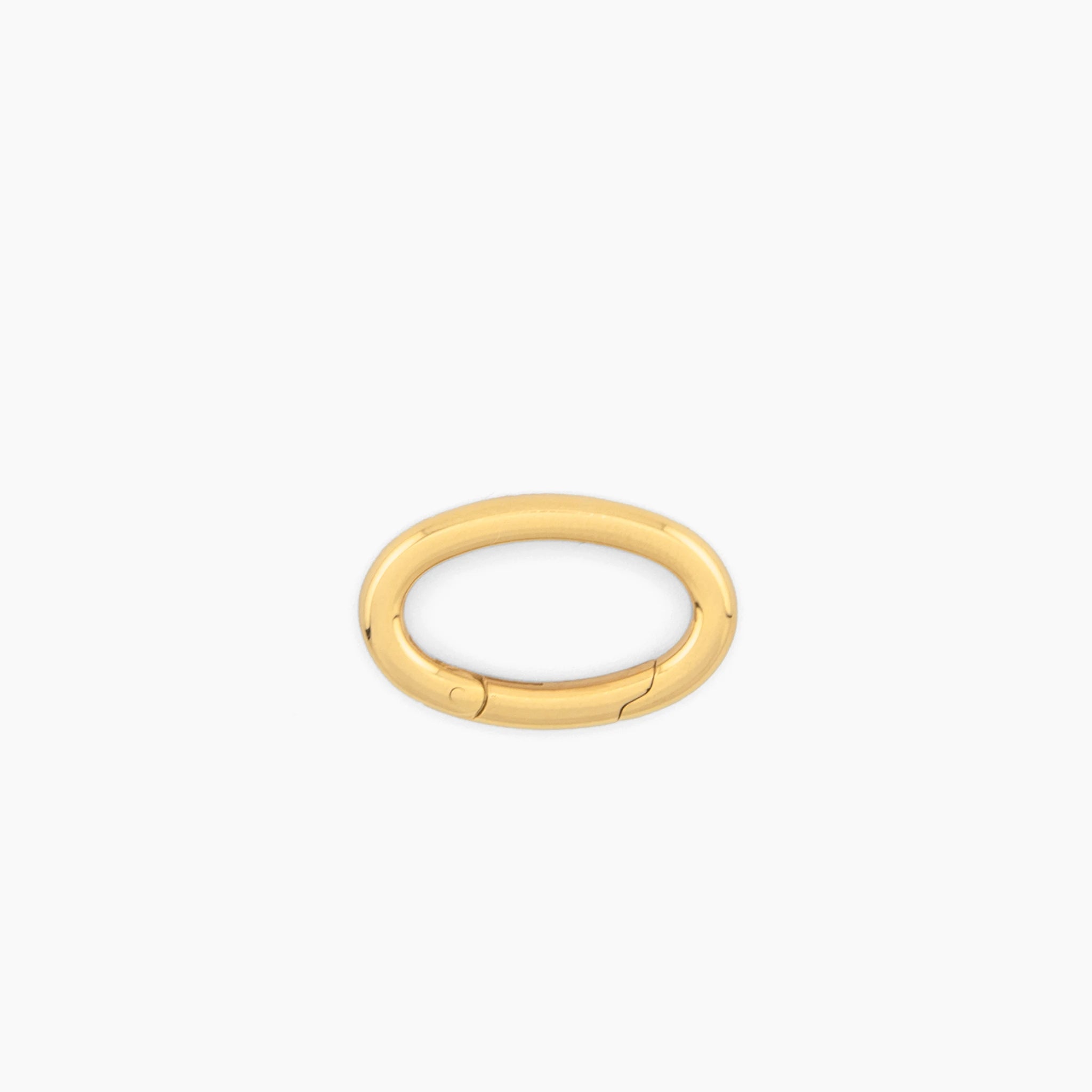 Large oval clasp on a white background
