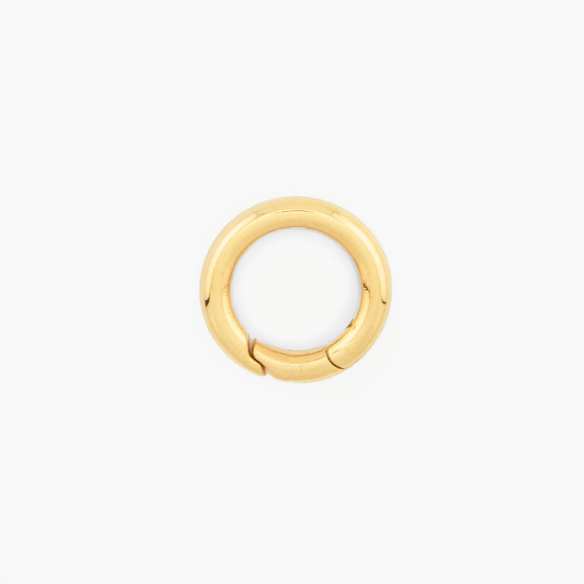Large round clasp on a white background