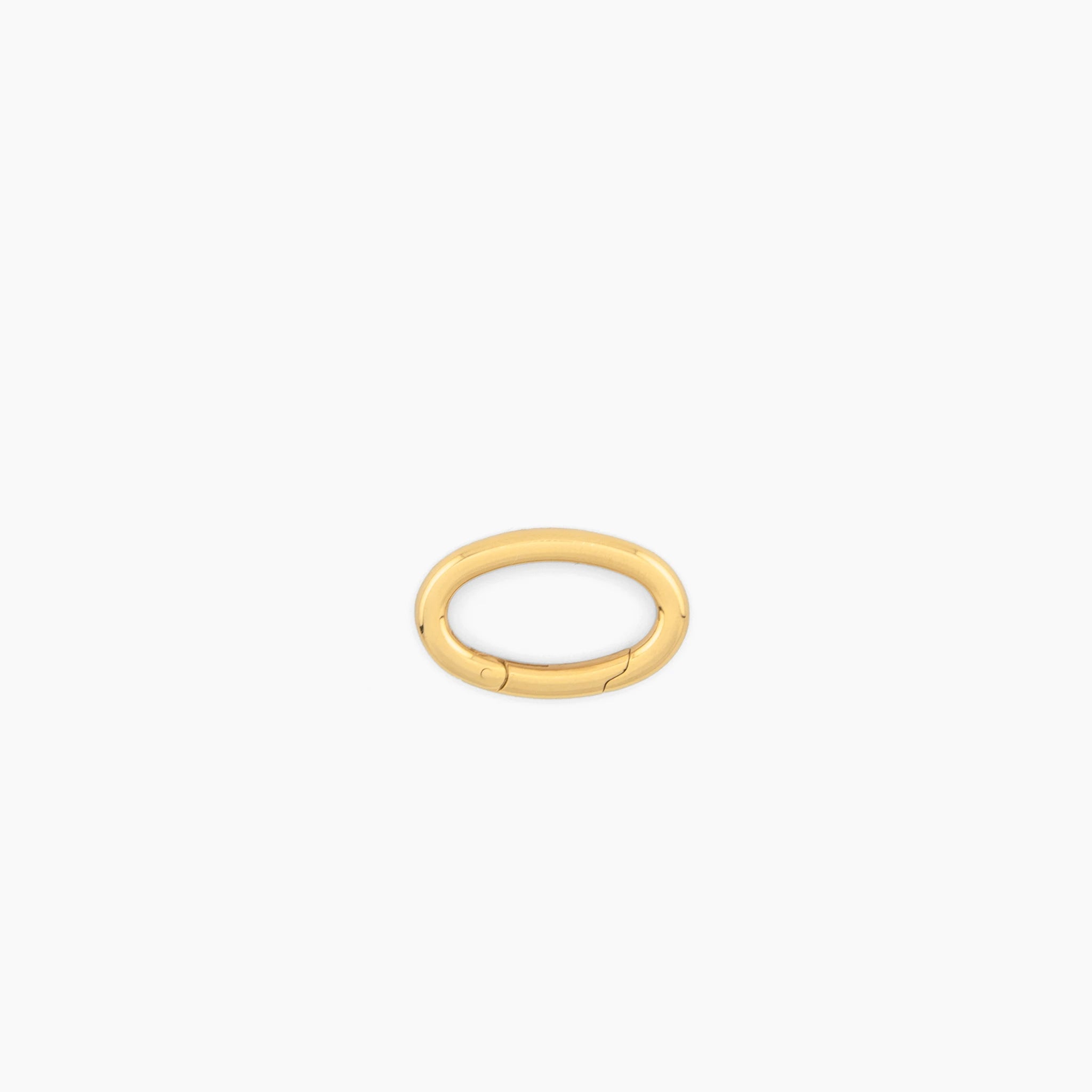 Small oval clasp on a white background